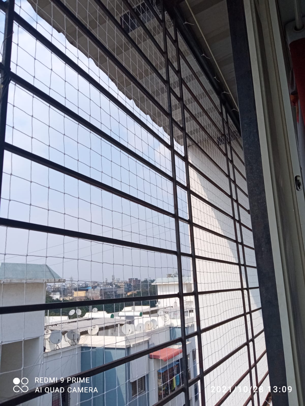 Anti bird net installation